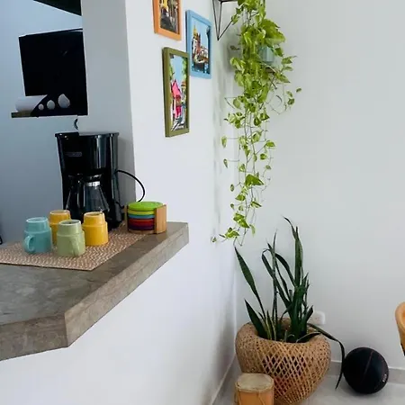 Con Vista A Historica Apartamento *